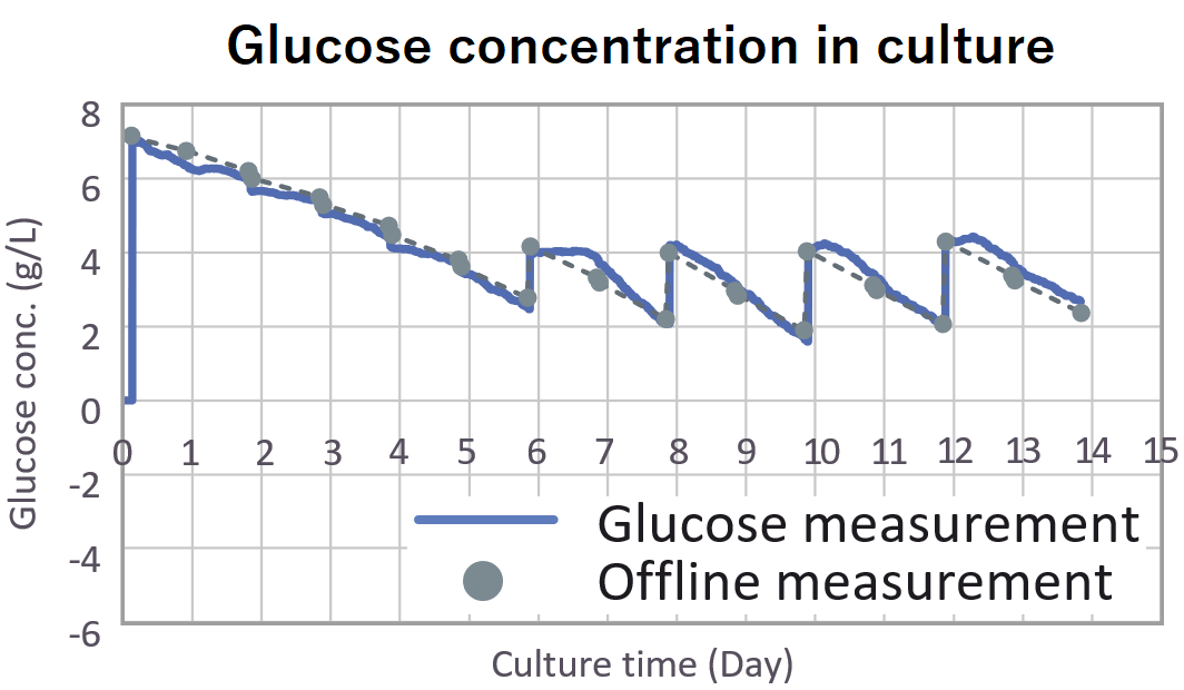 Glucose concentration in culture