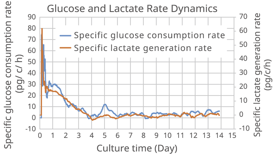 Rate of specific glucose consumption and specific lactate generation