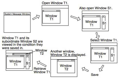 Figure 6 Operation with a Dynamic Window Set